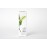 Skin Essence Organics Facial Moisturizer - Light