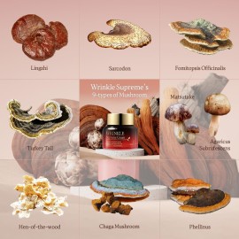 THE SKIN HOUSE Wrinkle Supreme Cream 1.69 fl.oz Korean Fermented Red Ginseng, Adenosine, Mushrooms l Wrinkles, Fine Lines l Korean Skin Care, 50ml
