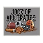Stupell Industries The Stupell Home Decor Art, Jock of All Trades Sports Balls Wall Plaque, 13 x 19, Design by Artist Antonio Reguerio