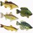 American Angler Collection Toy Fish Set With Collector Case Largemouth Bass Crappie Bluegill Catfish Striped Bass Miniature Figurine Fish by Toy Fish Factory
