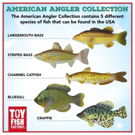 American Angler Collection Toy Fish Set With Collector Case Largemouth Bass Crappie Bluegill Catfish Striped Bass Miniature Figurine Fish by Toy Fish Factory