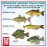American Angler Collection Toy Fish Set With Collector Case Largemouth Bass Crappie Bluegill Catfish Striped Bass Miniature Figurine Fish by Toy Fish Factory