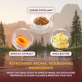 OKAY PURE NATURALS APRICOT and SUGAR FACIAL SCRUB 6oz / 170gr