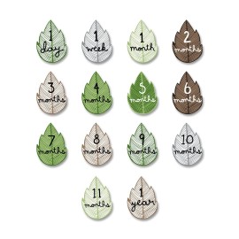 lulujo Babys First Year Milestone Blanket and Card Set | 40in x 40in (Here I Grow Again)