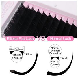 Qeelasee Ellipse Eyelash Extension 0.15 C Curl 11mm Flat Eyelashes False Mink Individual Eyelash Extension Professional Salon Used Black Mink False Lashes Mink Lashes Extensions