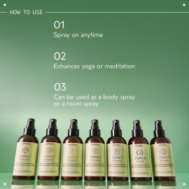 Aveda Chakra 2 Balancing Pure-Fume Mist: Balanced | Body & Room Spray | Balances Pleasure Chakra | With Sandalwood, Certified Organic Orange & Geranium, 3.4 Fl Oz