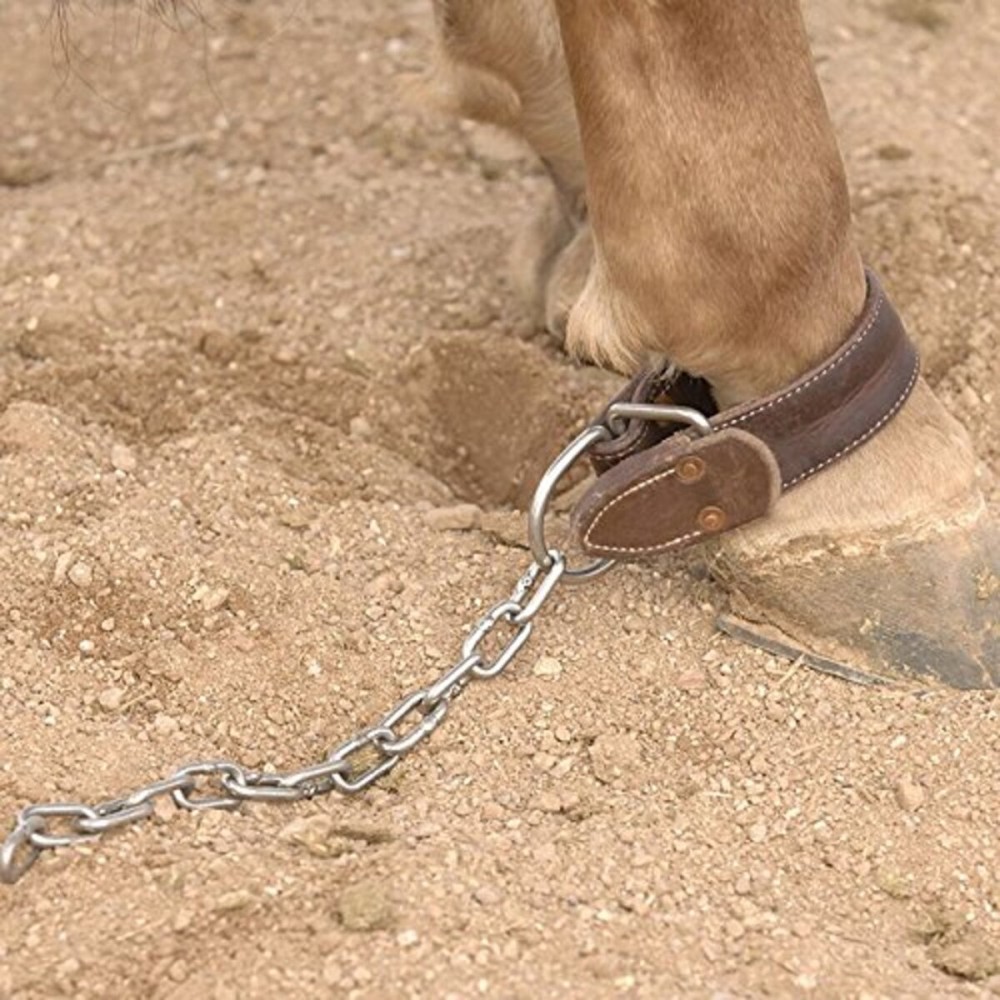 Schutz Brothers Shutz Brothers Kicking & Pawing Chain