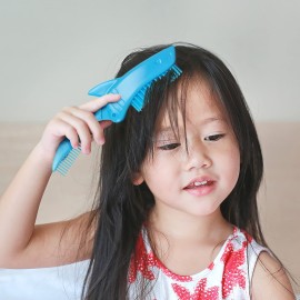 Genuine Fred Sharks Tooth Folding Comb