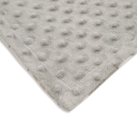 BORITAR Baby Blanket Soft Minky with Double Layer Dotted Backing, Lovely Animals Printed 30 x 40 Inch Receiving Blanket