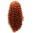Iwonawig Long Curly Reddish Blonde Heat Friendly Wig Natural Looking Synthetic Lace Front Wig