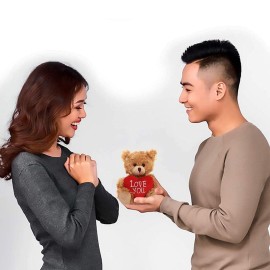 Plushland Stuffed Mocha Heart Bear - Love You- Plush Bear Toy for Kids & Adults - Embroidered Heart Pillow - Brown-6 inches