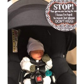 THREE LITTLE TOTS - No Kissing Baby Car Seat Sign or Stroller Tag - CPSIA Safety Tested