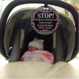 THREE LITTLE TOTS - No Kissing Baby Car Seat Sign or Stroller Tag - CPSIA Safety Tested