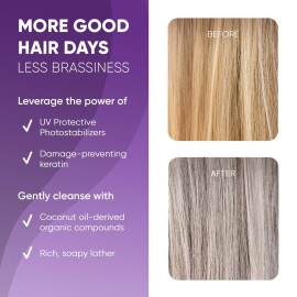 GBG Purple Shampoo for Blonde Hair - Hair Toner for Silver, Grey & Blonde, Instantly Conditions Brassy Hair - Celebrity Stylist Purple Toning Shampoo for Soft, Shiny & Silky Hair for Women & Men, 8 Oz GBG Purple Shampoo for Blonde Hair - Hair Toner for Silver, Grey & Blonde, Instantly Conditions Brassy Hair - Celebrity Stylist Purple Toning Shampoo for Soft, Shiny & Silky Hair for Women & Men, 8 Oz