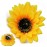 Patiky Sunflower Hair Clips for Women Girls Non Slip Alligator Clips Hairpin TS08 (1 Sunflower Hair Clip)