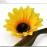 Patiky Sunflower Hair Clips for Women Girls Non Slip Alligator Clips Hairpin TS08 (1 Sunflower Hair Clip)