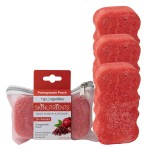 Spongeables Body Wash in a 20+ Wash Sponge, Pomegranate Punch, 3 Count
