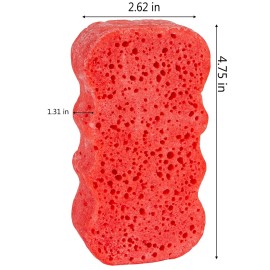 Spongeables Body Wash in a 20+ Wash Sponge, Pomegranate Punch, 3 Count