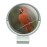 GRAPHICS & MORE Red Cardinal Bird On Branch Golf Hat Clip with Magnetic Ball Marker