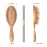 WeCoola Wooden Bristle Hair Brush - Stimulating Scalp Massage for Hair Growth, Ideal Gift for All Hair Types