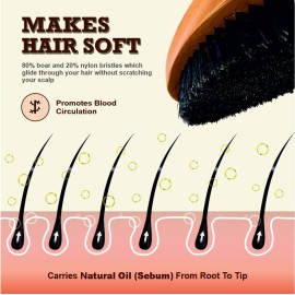 Wolfin Pro- Premium Curved 360 Wave Brush, 100% Natural Schima Superba Wood with Reinforced Pure Black Medium Boar Hair Bristle - Perfect for Wolfing, Creating 360 Layer Hair Waves, Cultivating Beards