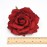 Amuhou Womens Rose Flower Hair Clip Flower Brooch for Bridal Headpiece,Flamenco Dancer 10-Pack (Mixed 10 Colors)