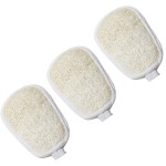 Loofah Sponge Refill for FAAY Back Scrubber on Stick, 3 Packs