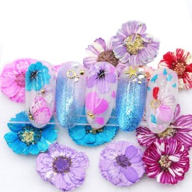 Minejin Nail Art True Dried Flower 3D DIY Real Flower Decoration 6 Colors Minejin Nail Art True Dried Flower 3D DIY Real Flower Decoration 6 Colors