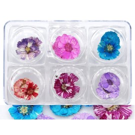 Minejin Nail Art True Dried Flower 3D DIY Real Flower Decoration 6 Colors Minejin Nail Art True Dried Flower 3D DIY Real Flower Decoration 6 Colors