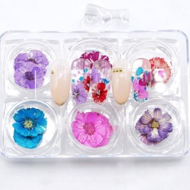 Minejin Nail Art True Dried Flower 3D DIY Real Flower Decoration 6 Colors Minejin Nail Art True Dried Flower 3D DIY Real Flower Decoration 6 Colors