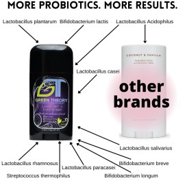 Green Theory Lavender & Evergreen Natural Deodorant - Probiotic, Aluminum-Free - 2.65 Ounce Solid