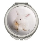 GRAPHICS & MORE Lop Ears Miniature Bunny Rabbit Compact Travel Purse Handbag Makeup Mirror