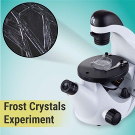 IQCrew by AmScope 40X-200X Kids Inverted Compound Microscope for Students