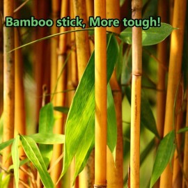 3600pcs Precision Tip Cotton Swabs for Makeup, Bamboo Sticks and Double Pointed 3600pcs Precision Tip Cotton Swabs for Makeup, Bamboo Sticks and Double Pointed