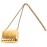 Mini Metallic Hard Case Handbag With Mirror and Long Chain (Gold)