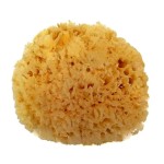 Spa Destinations Natural Sea Wool Sponge 5-6 Natural Renewable Resource Bath & Shower