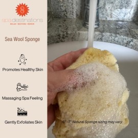 Spa Destinations Natural Sea Wool Sponge 5-6 Natural Renewable Resource Bath & Shower