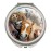 Horses Selfie Compact Travel Purse Handbag Makeup Mirror
