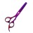 6.0 inch Purple Hair Cutting Scissors Set with Razor, Leather Scissors Case, Barber Hair Cutting Shears Hair Thinning/Texturizing Shears for Professional Hairdresser or Home Use
