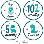 Baby Monthly Milestone Onesie Stickers by Harperlynn (16 Stickers - Dinosaur) - Newborn Photo Prop for Pictures - Great Gift for Parents of Happy Infant Boy or Girl - 4 Round- Fits Memory Planners