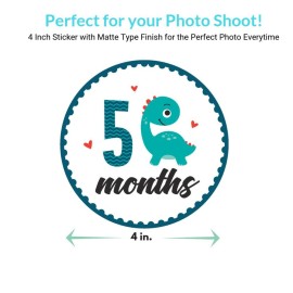 Baby Monthly Milestone Onesie Stickers by Harperlynn (16 Stickers - Dinosaur) - Newborn Photo Prop for Pictures - Great Gift for Parents of Happy Infant Boy or Girl - 4 Round- Fits Memory Planners