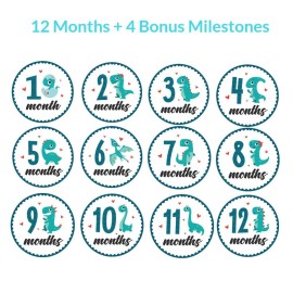 Baby Monthly Milestone Onesie Stickers by Harperlynn (16 Stickers - Dinosaur) - Newborn Photo Prop for Pictures - Great Gift for Parents of Happy Infant Boy or Girl - 4 Round- Fits Memory Planners