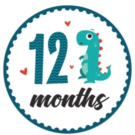 Baby Monthly Milestone Onesie Stickers by Harperlynn (16 Stickers - Dinosaur) - Newborn Photo Prop for Pictures - Great Gift for Parents of Happy Infant Boy or Girl - 4 Round- Fits Memory Planners
