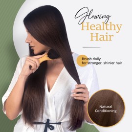 Premium Boar Bristle Hair Brush for Thick Hair Set. Hairbrush for Women With Thick, Long or Curly Hair. Restores Hair\'s Shine and Health. Comb, Travel Bag & Spa Headband Included Premium Boar Bristle Hair Brush for Thick Hair Set. Hairbrush for Women With Thick, Long or Curly Hair. Restores Hair\'s Shine and Health. Comb, Travel Bag & Spa Headband Included