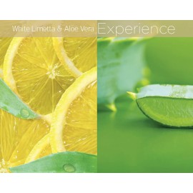 Cuccio Naturale Butter Babies - Ultra-Moisturizing, Renewing, Scented Body Cream - Deep Hydration For Dry Skin Repair - Made With All Natural Ingredients - White Limetta And Aloe Vera - 1.5 Oz Cuccio Naturale Butter Babies - Ultra-Moisturizing, Renewing, Scented Body Cream - Deep Hydration For Dry Skin Repair - Made With All Natural Ingredients - White Limetta And Aloe Vera - 1.5 Oz