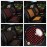 Wood Bead Car Seat Cover Cushion, Cooling & Breathing, Automotive Beaded Driver Seat Massager Cushion for Lower Back Pain
