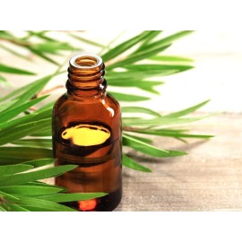 Koils by Nature Detoxifying MangoMint Conditioner | 8 Oz | Activated Charcoal & Moroccan Rhassoul Clay - Remove Build-up, Protect and Strengthen Hair