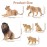 Toymany 6PCS Realistic Lion Figurines with Lion Cubs, 2-5 Jungle Animals Figures Family Set Includes Baby Lions, Educational Toy Cake Toppers Christmas Birthday Gift for Kids Toddlers