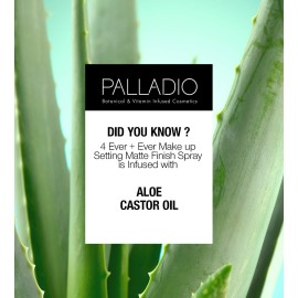 Palladio 4 Ever and Ever Make Up Setting Spray, Longlasting, Instantly Sets and Secures Makeup for All Day Wear (Matte Finish), 100 ml Palladio 4 Ever and Ever Make Up Setting Spray, Longlasting, Instantly Sets and Secures Makeup for All Day Wear (Matte Finish), 100 ml