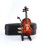 Dselvgvu Wooden Miniature Violin with Stand, Bow and Case Mini Violin Musical Instrument Replica Collectible Figurines Collection Decorative Ornament Dollhouse Accessories Model (3.15x1.18x0.59)